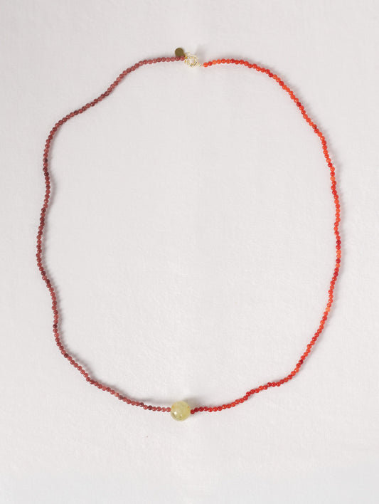 Picota long Berry
